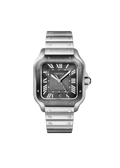 Santos de CRT Watch